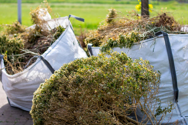 Professional Junk Removal Services in Pine Manor, FL